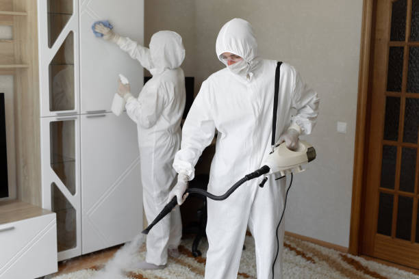 Mold Removal Process in Goleta, CA