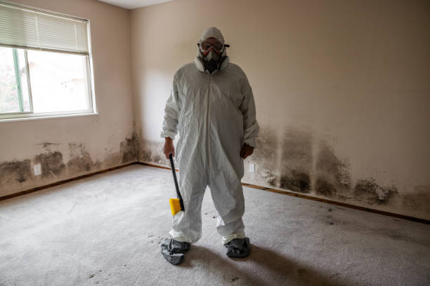 Best Crawl Space Mold Removal  in Goleta, CA